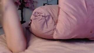 sofiewild